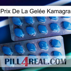 Prix De La Gelée Kamagra viagra2